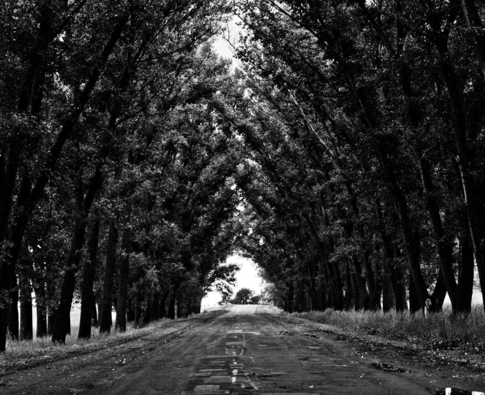 0月租流量卡：荒野大镖客2注册不上账号