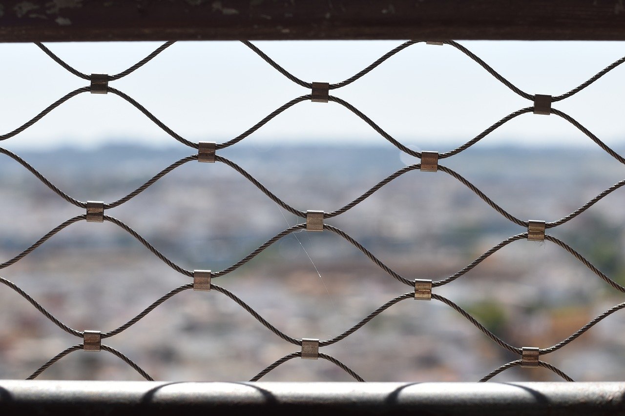 认识吸烟问题的真相：香烟品牌的宣传是否会影响消费者的决策？