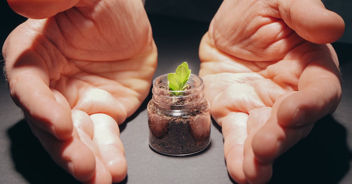 DDOS接单平台|骇客的风景线：兴趣是长久的动力 