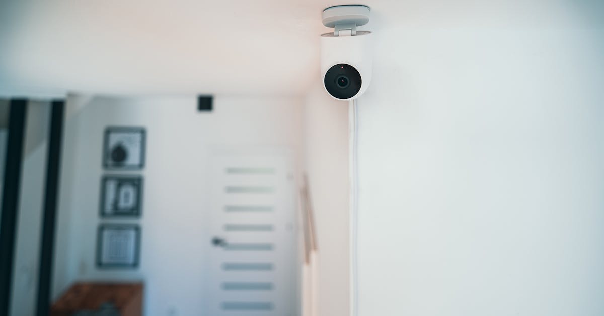 犬夜叉-觉醒辅助- 鱼料代理平台