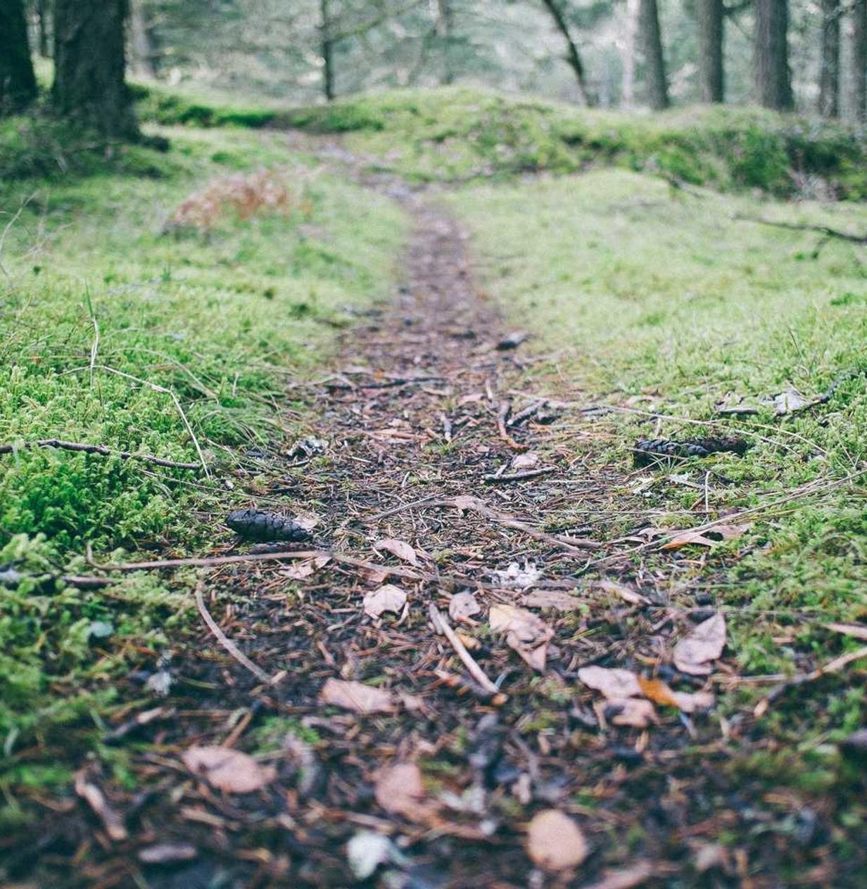 天悦创造具有影响力的企业营销活动-如何规划和实施