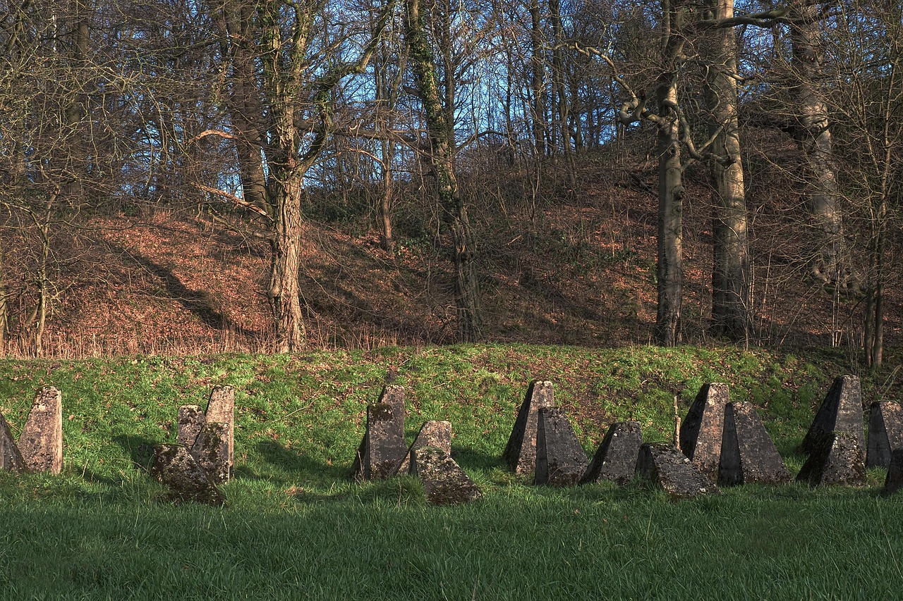 Mond梦都葡萄：机车网上购买平台